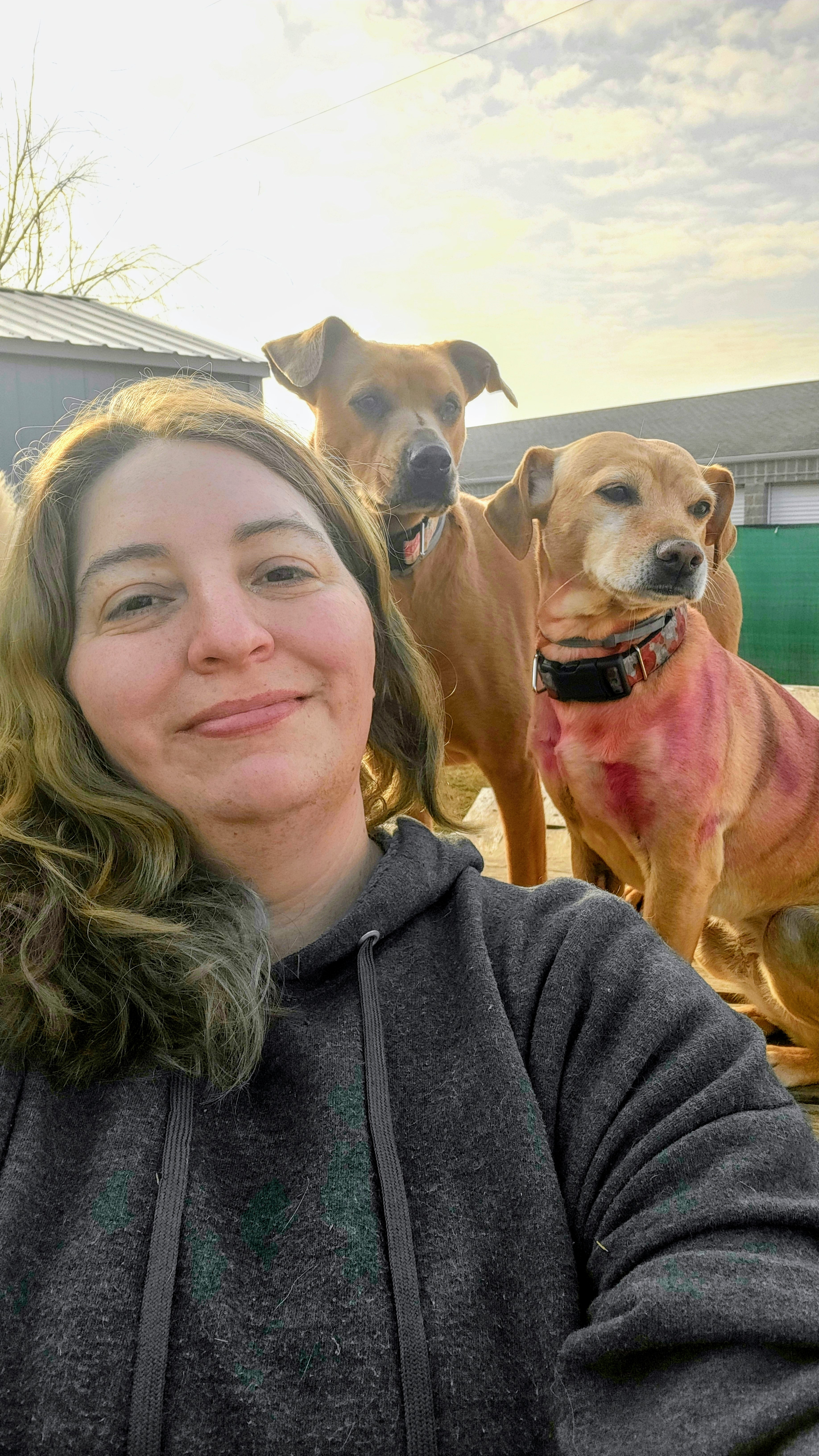 Roxy, Owner of Waggin' Tails