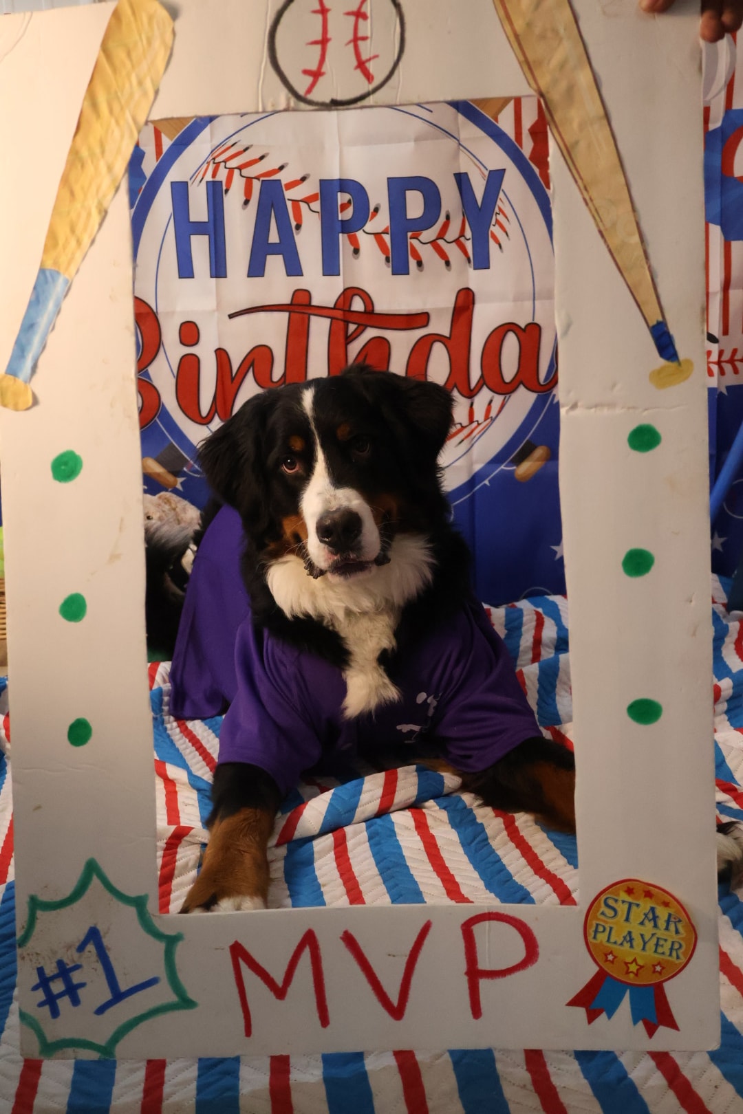Dog Birthday Party 2